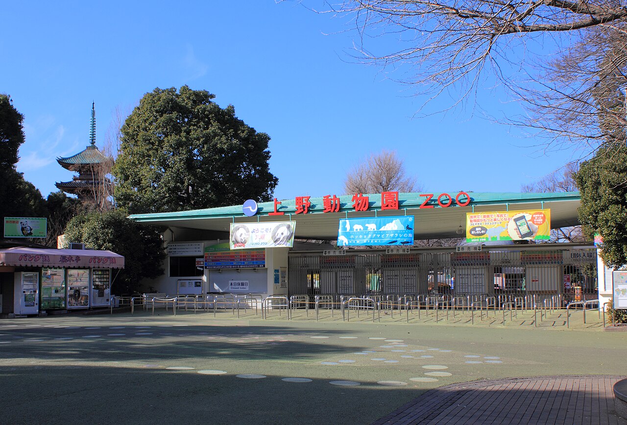 Tokyo 封面 封面圖