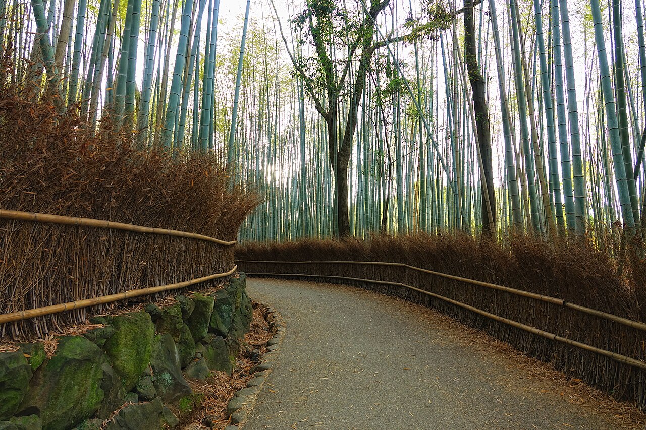 Honeymoon Kyoto Luxe 封面 封面圖
