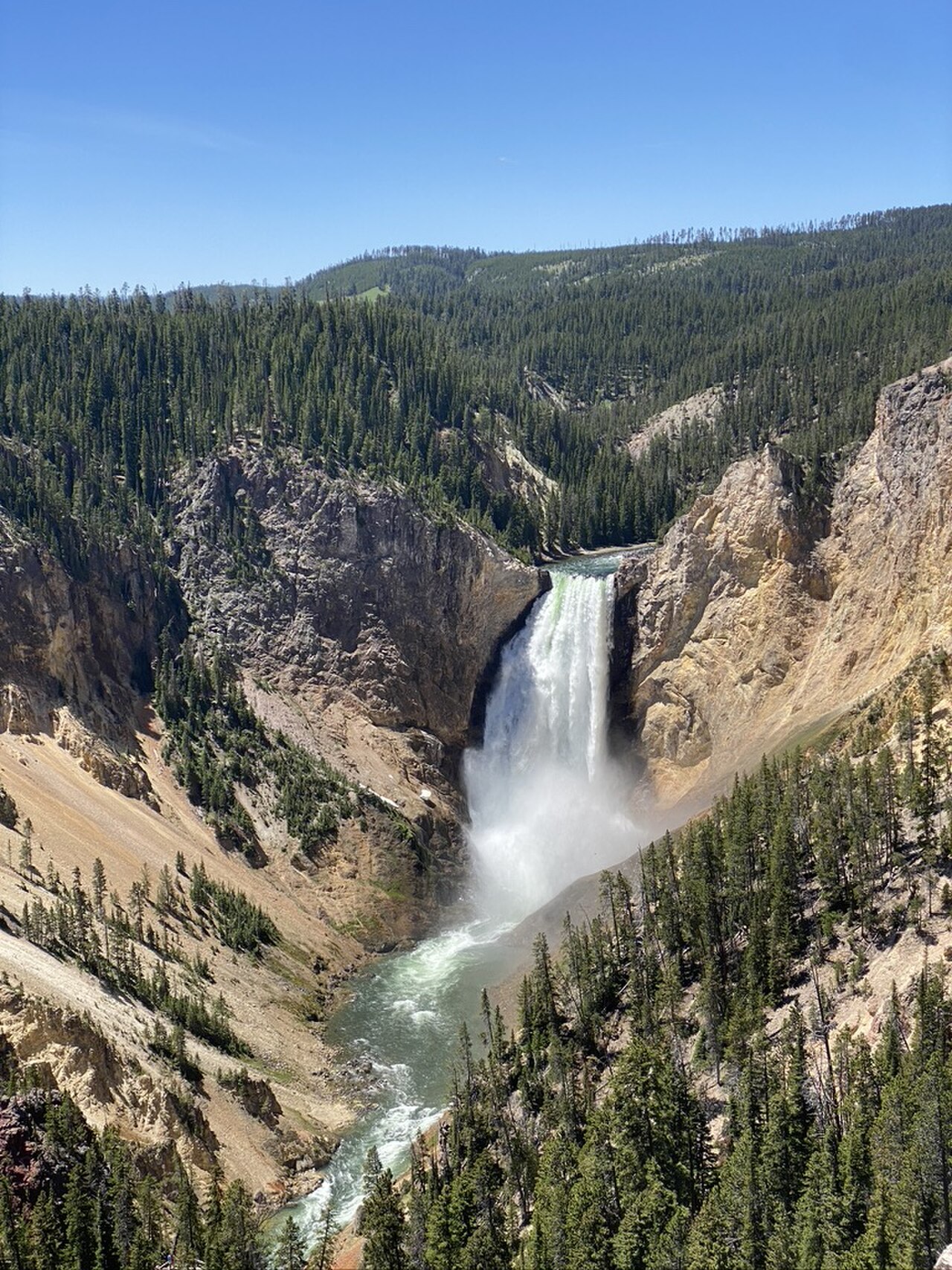Yellowstone 封面 封面圖