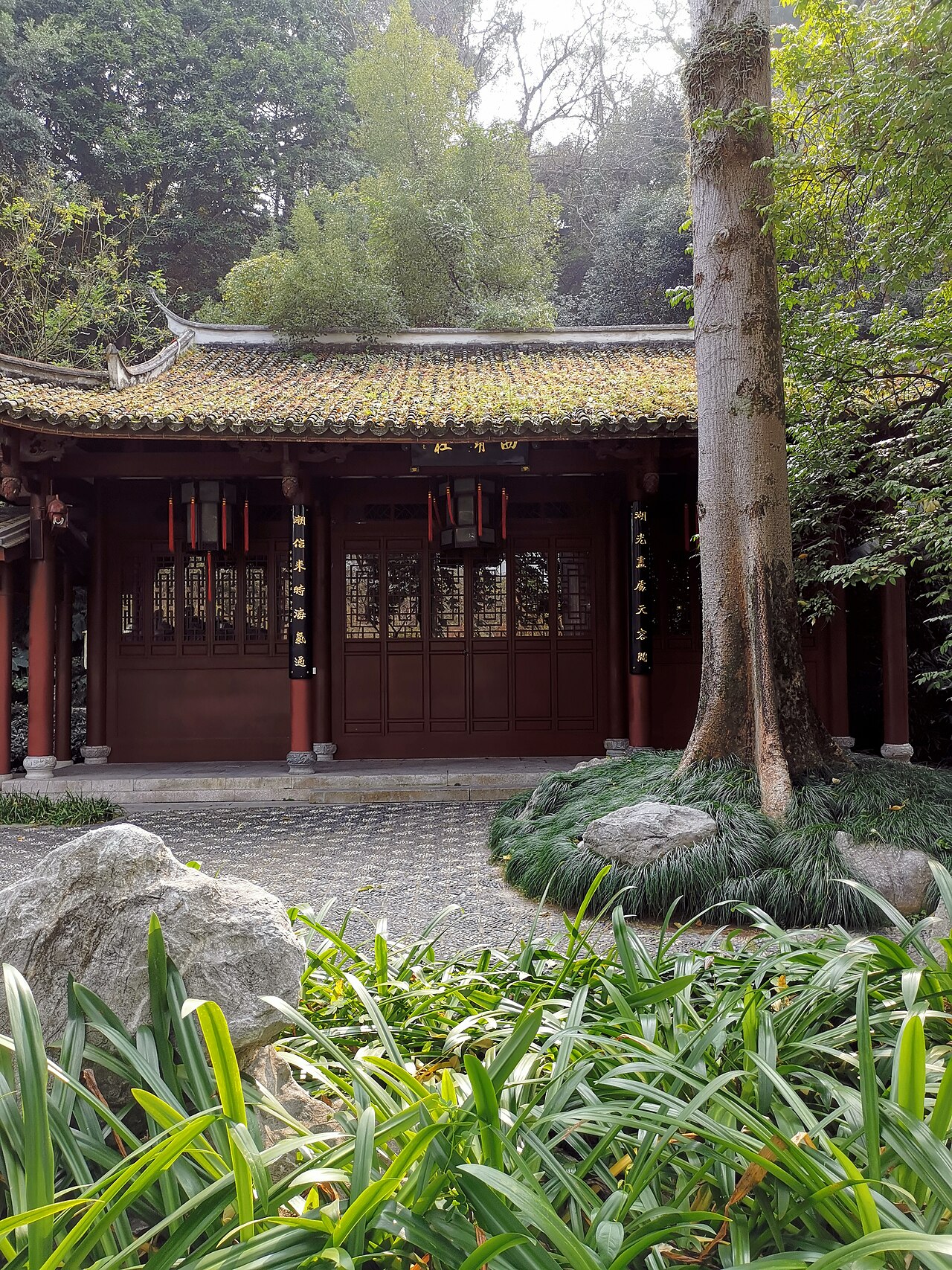 Fuzhou 封面 封面圖