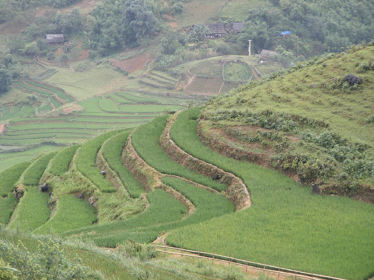 Sapa 封面 封面圖