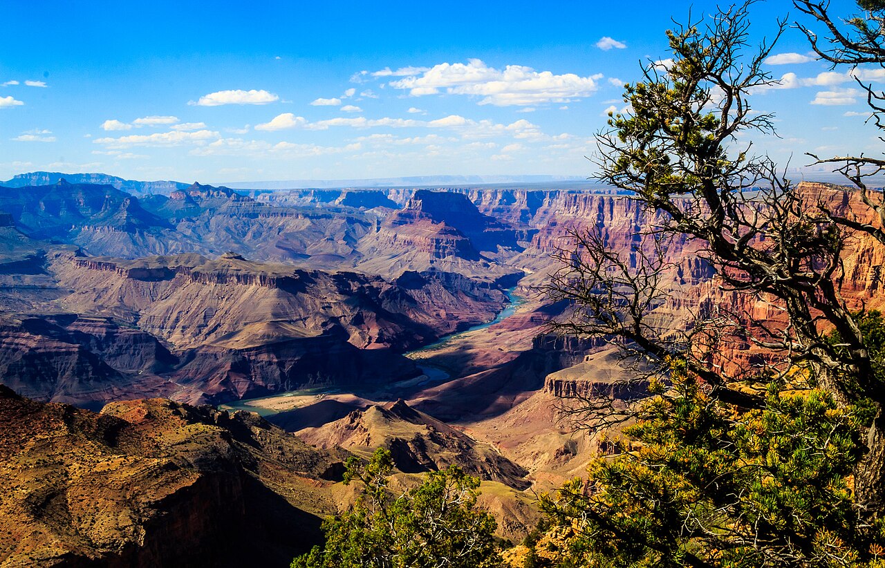 Grand Canyon 封面 封面圖