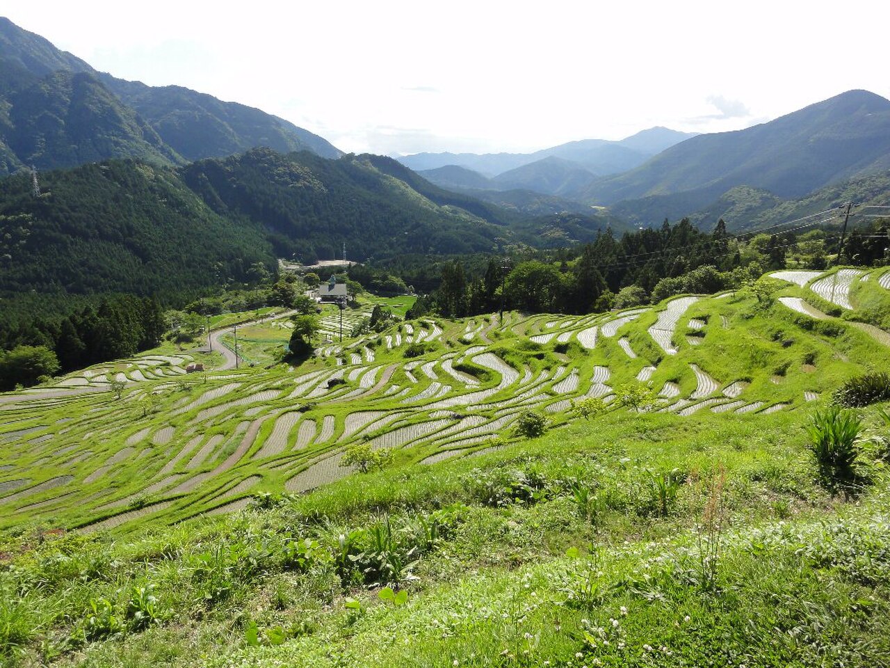 Kumano 封面 封面圖