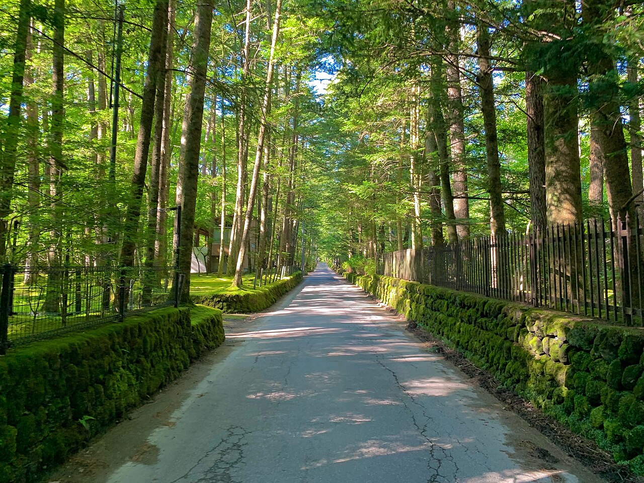 Karuizawa 封面 封面圖