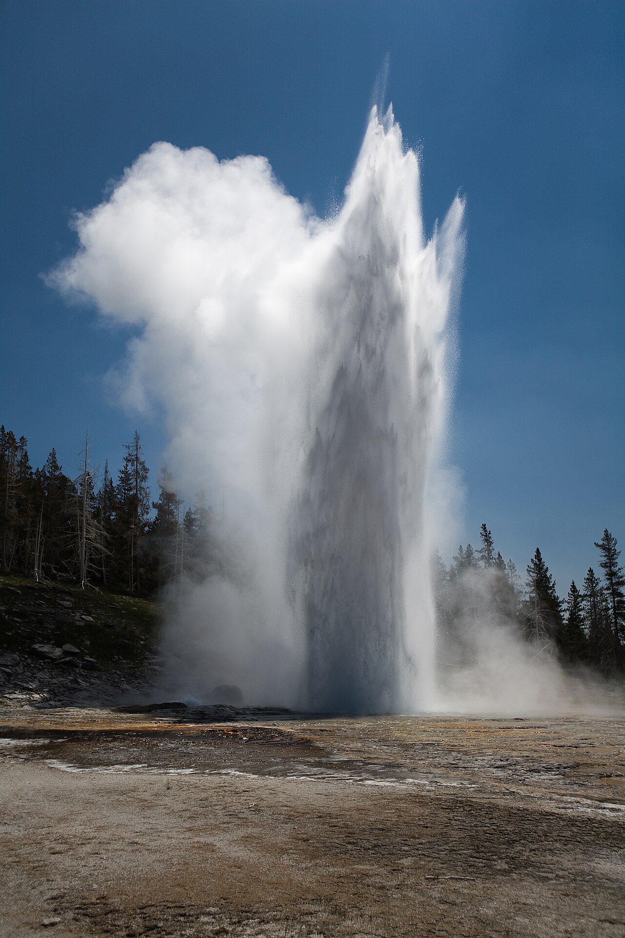 Yellowstone 封面 封面圖