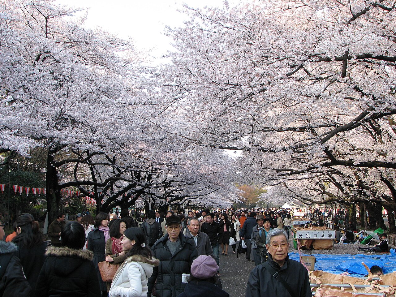 Tokyo 封面 封面圖