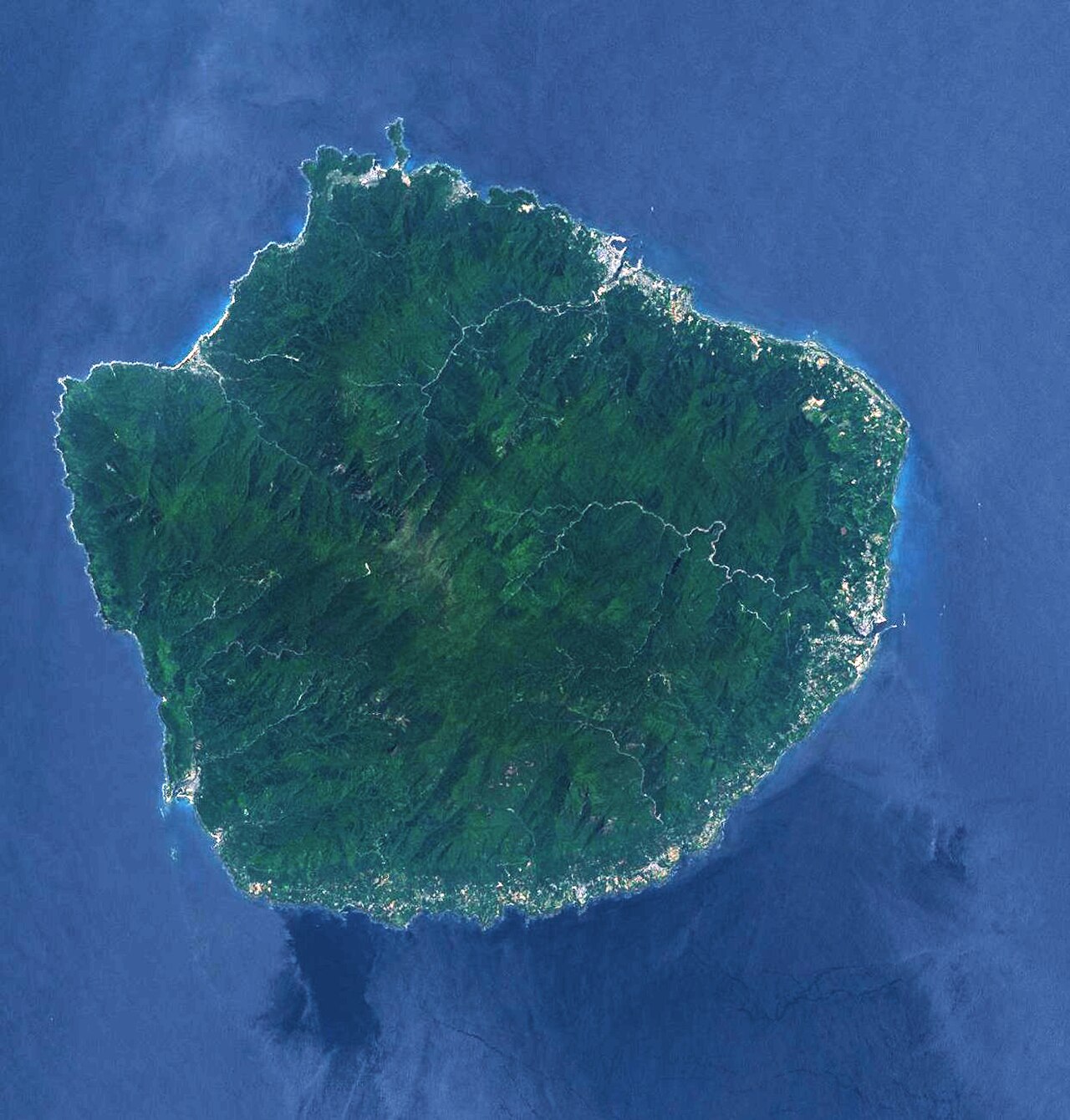 Yakushima 封面 封面圖