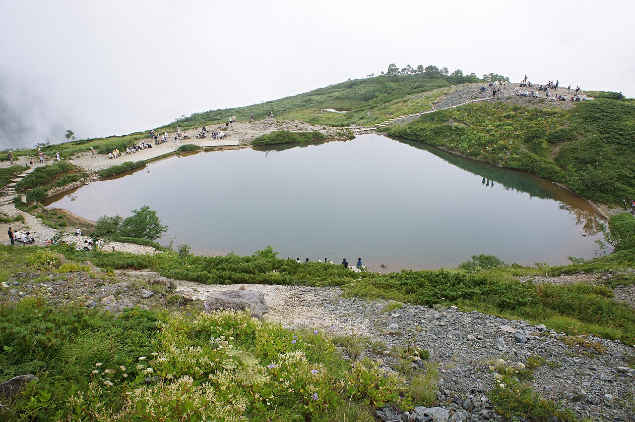 Hakuba 封面 封面圖