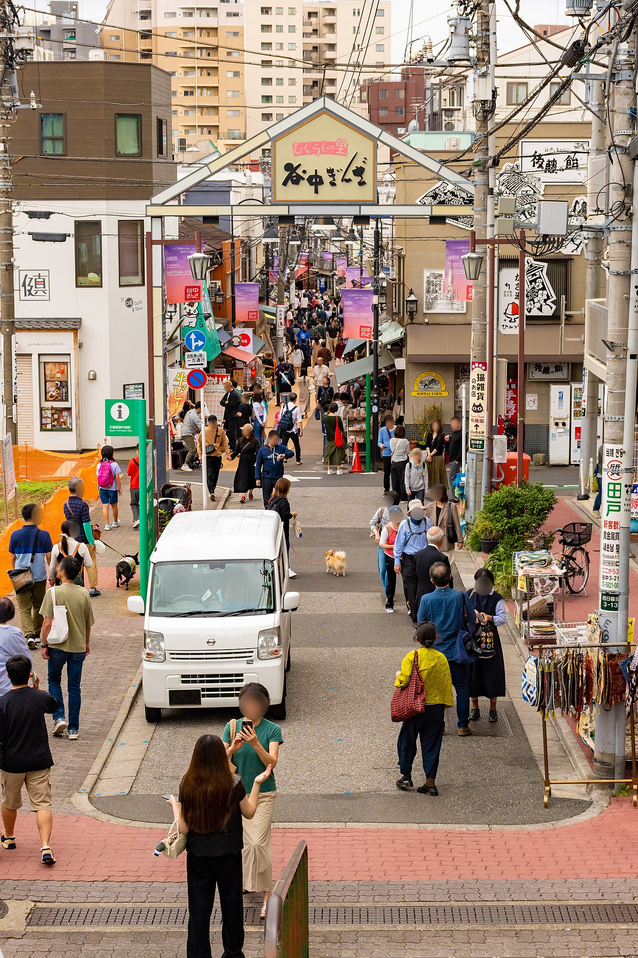 Solo Female Tokyo 封面 封面圖