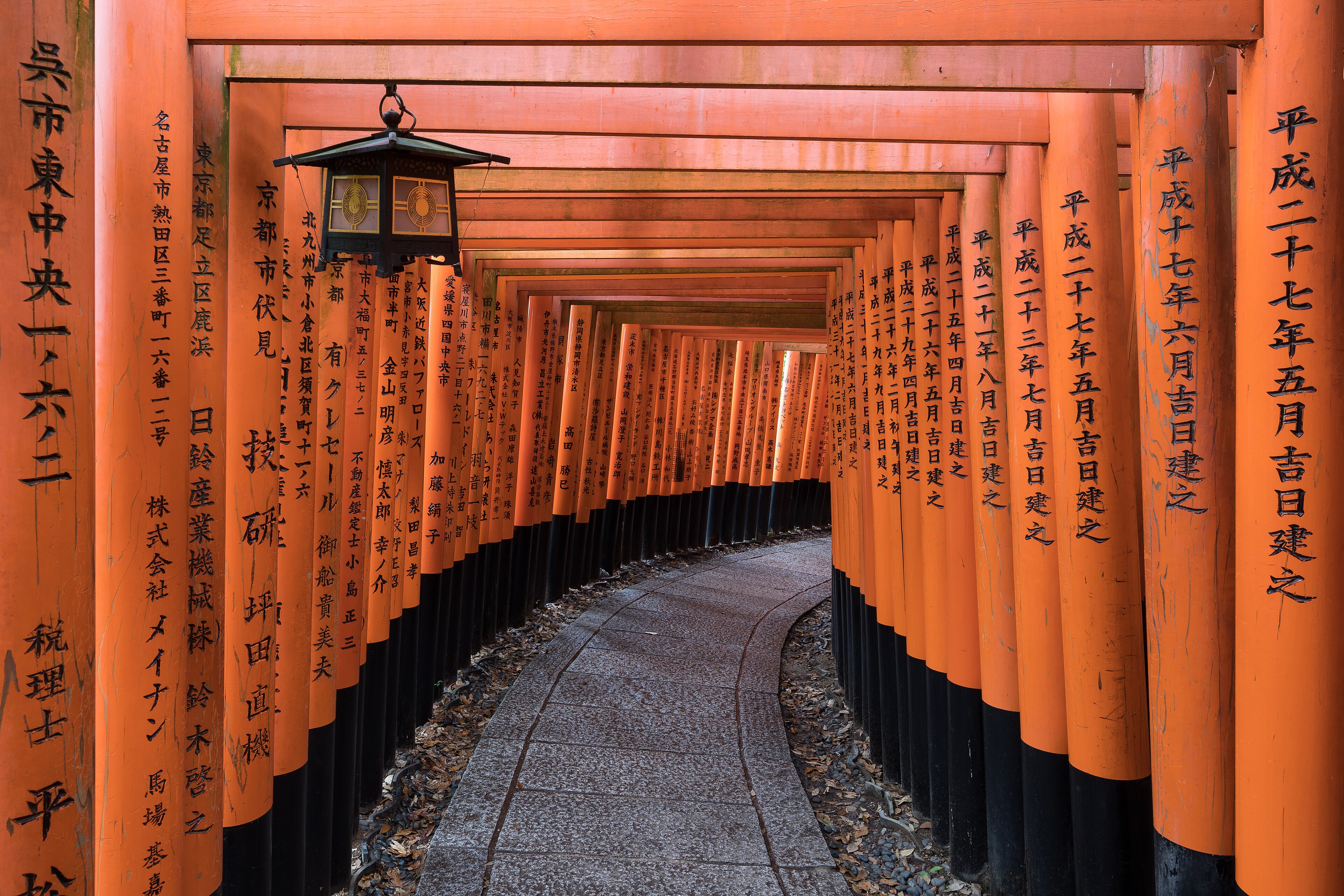Kyoto 封面 封面圖