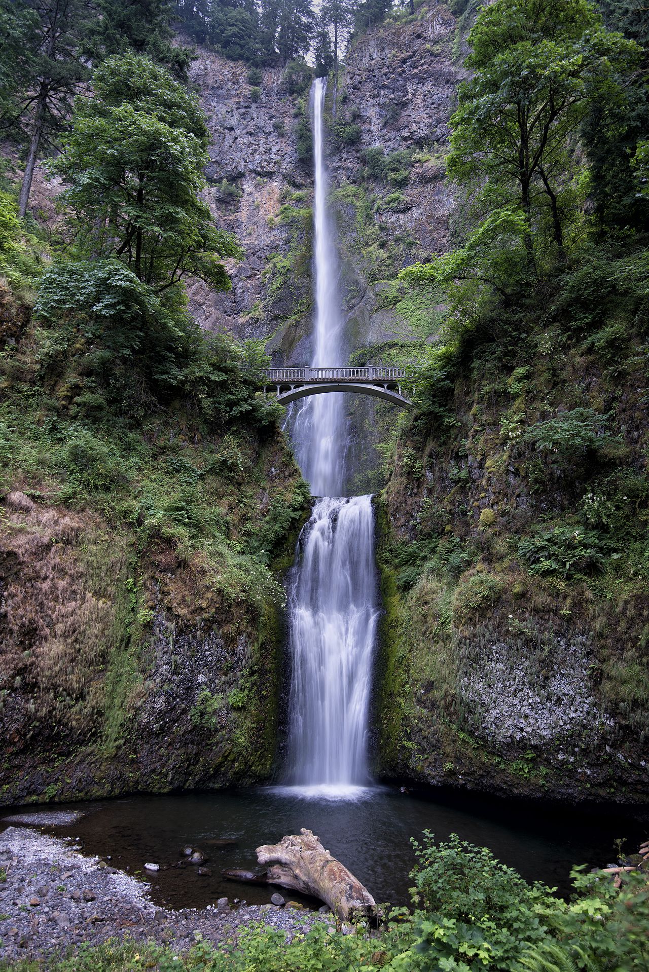 Portland 封面 封面圖