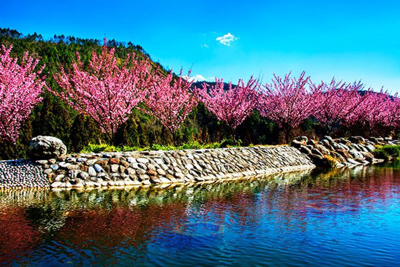 Wuling Farm 封面 封面圖