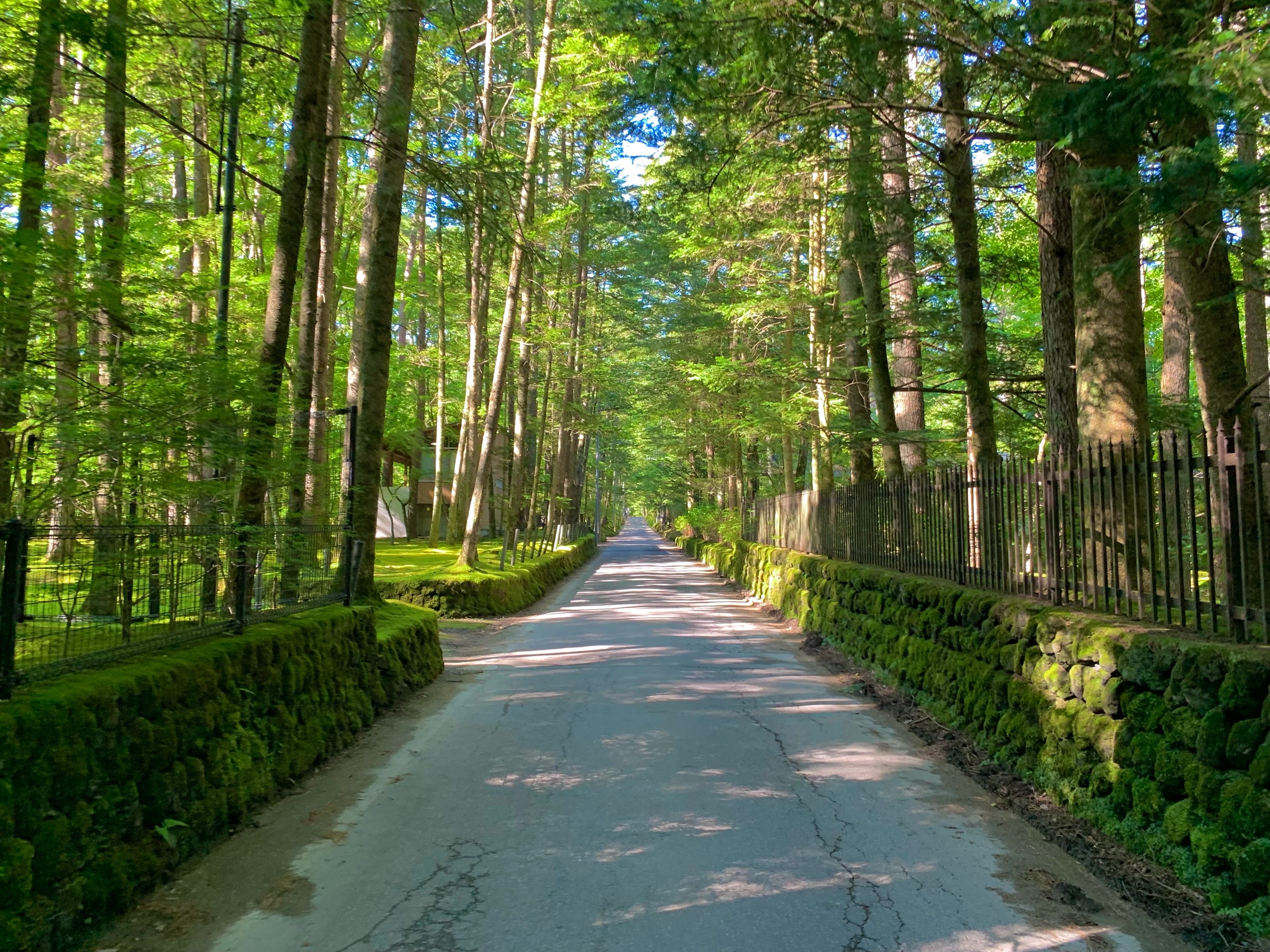Karuizawa 封面 封面圖