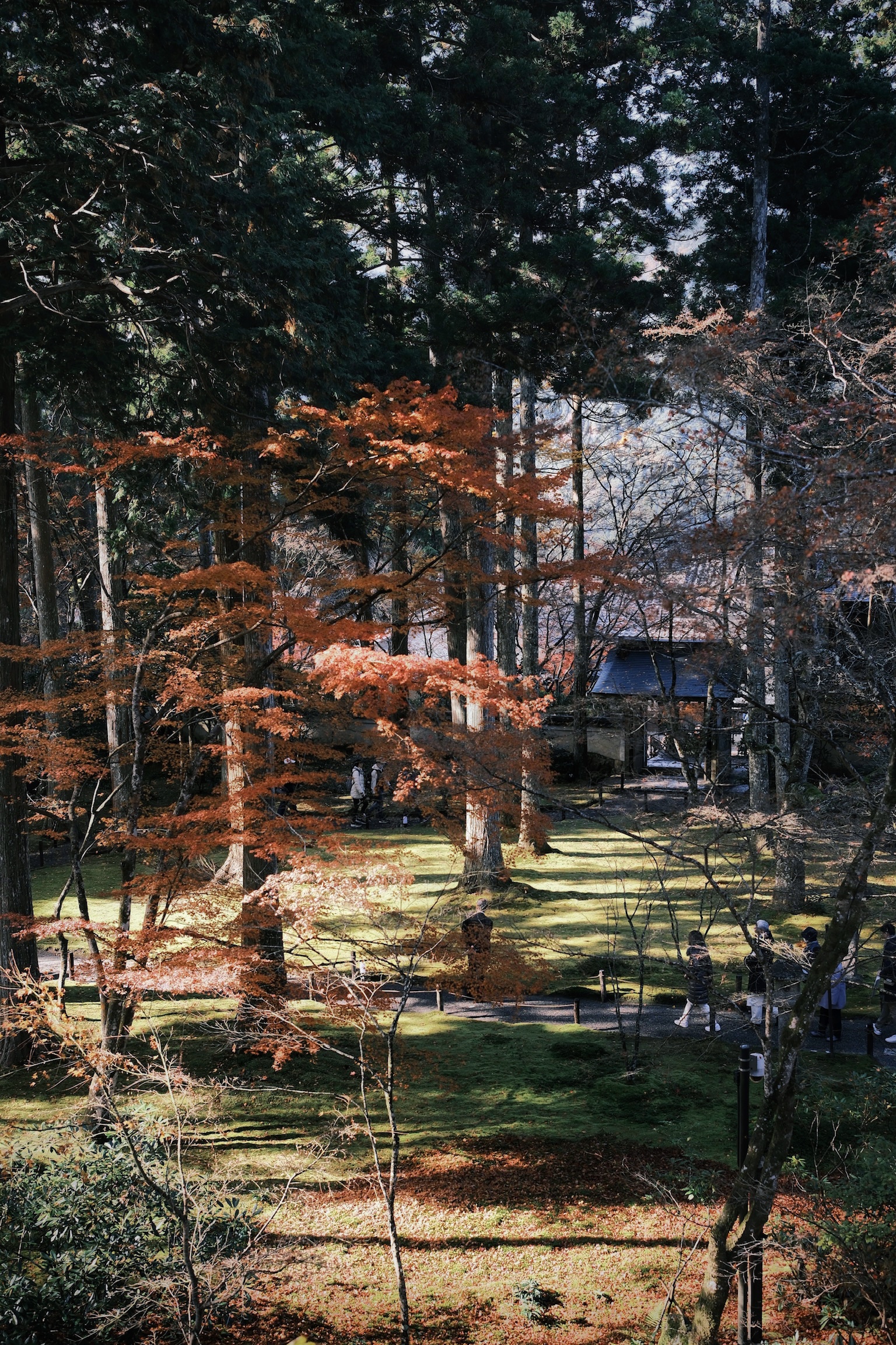 Kurashiki 封面 封面圖