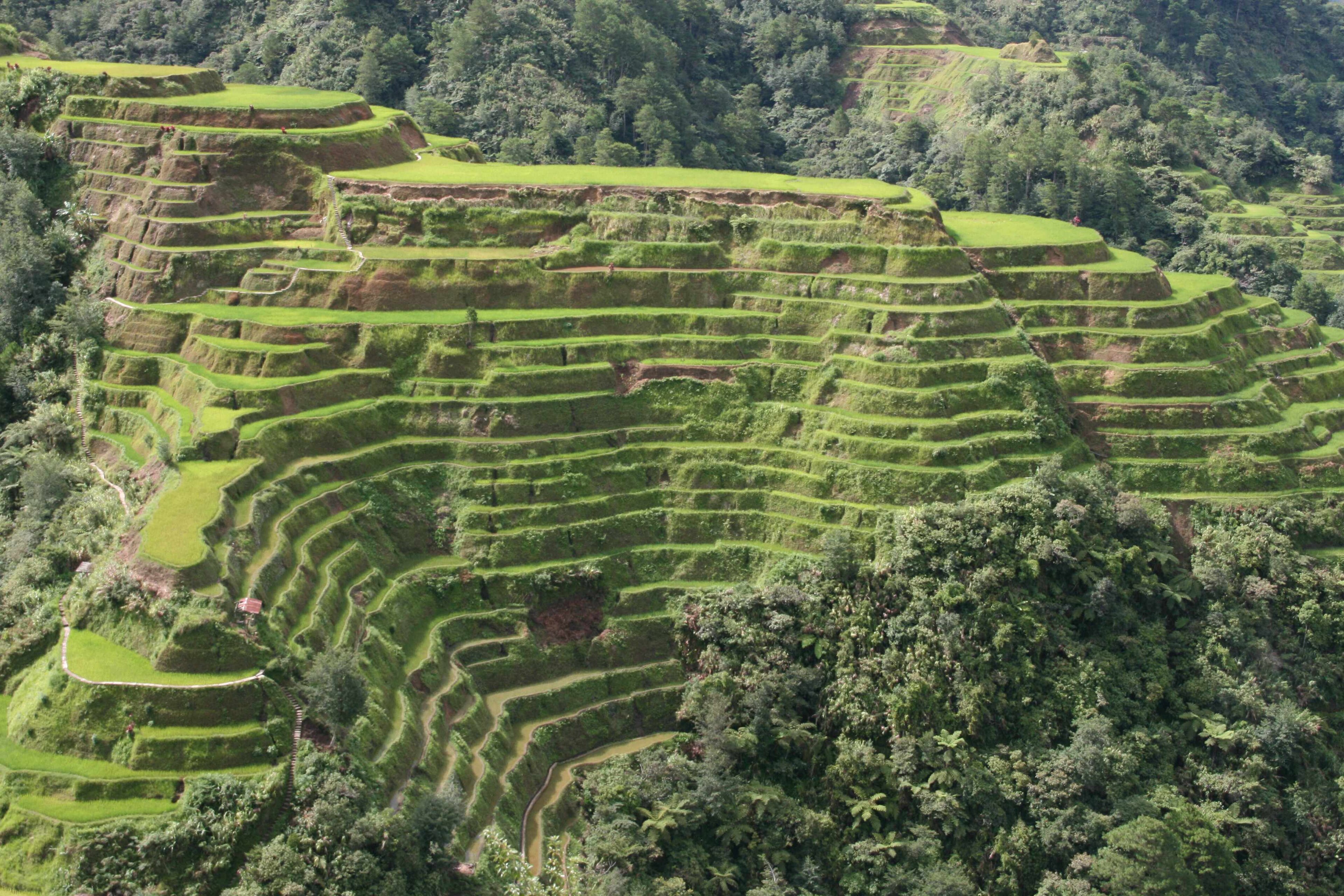 Banaue 封面 封面圖