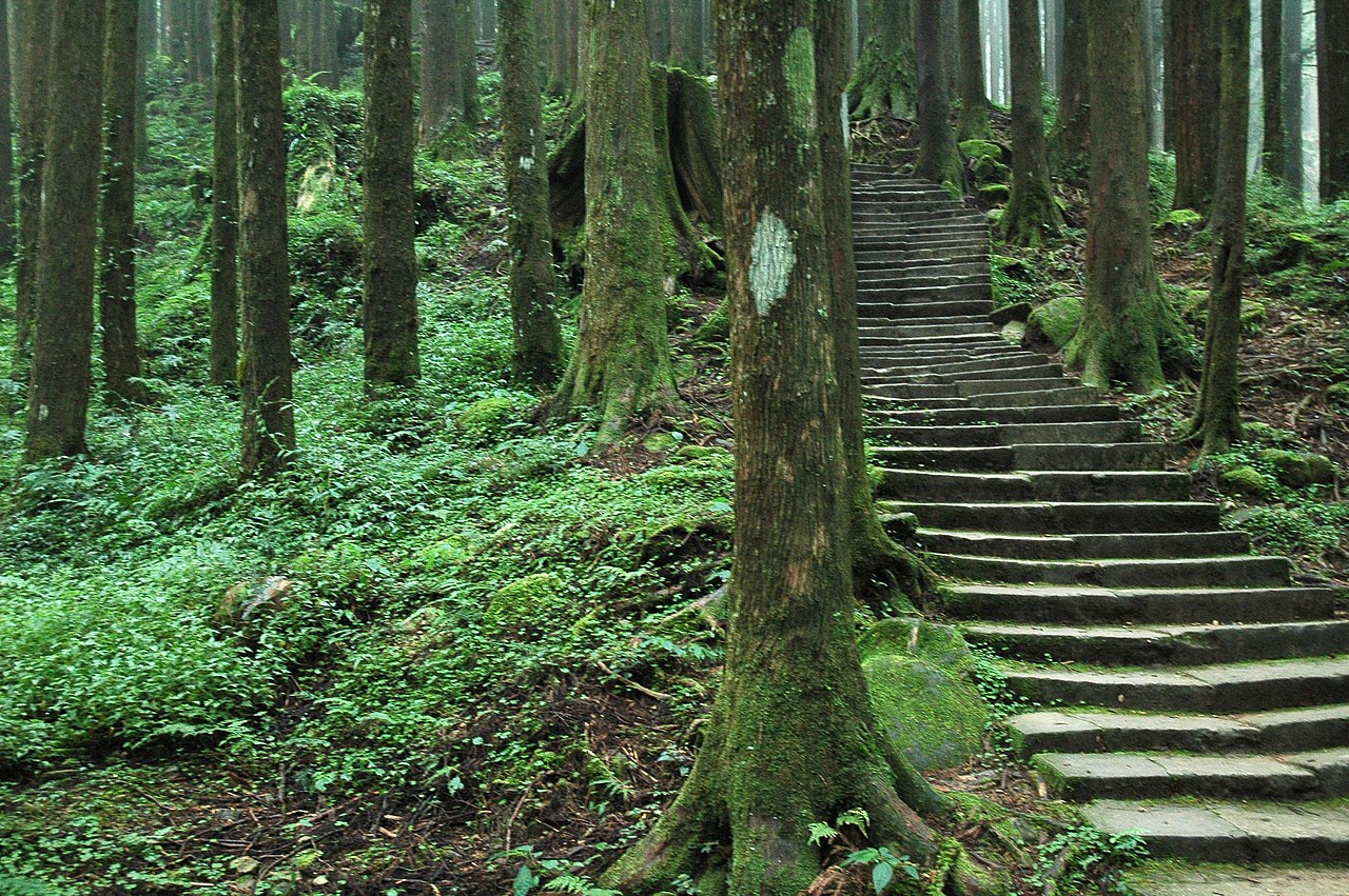 Alishan 封面 封面圖