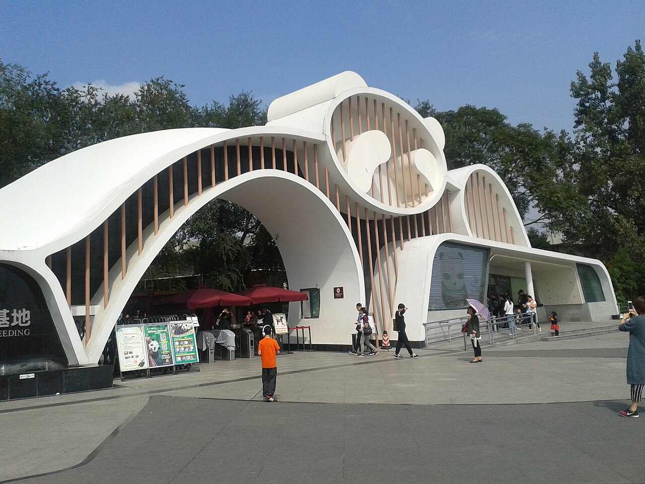 Chengdu 封面 封面圖